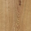 Euro Home Ravensdale Wood Natural oak effect Laminate flooring Sample