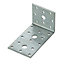 Expamet Zinc effect Galvanised Steel Light duty Angle bracket (H)60mm (W)60mm (L)100mm
