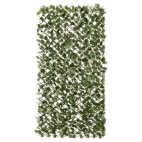 Fabric leave, willow trellis Green Garden screen (H)1m (W)2m