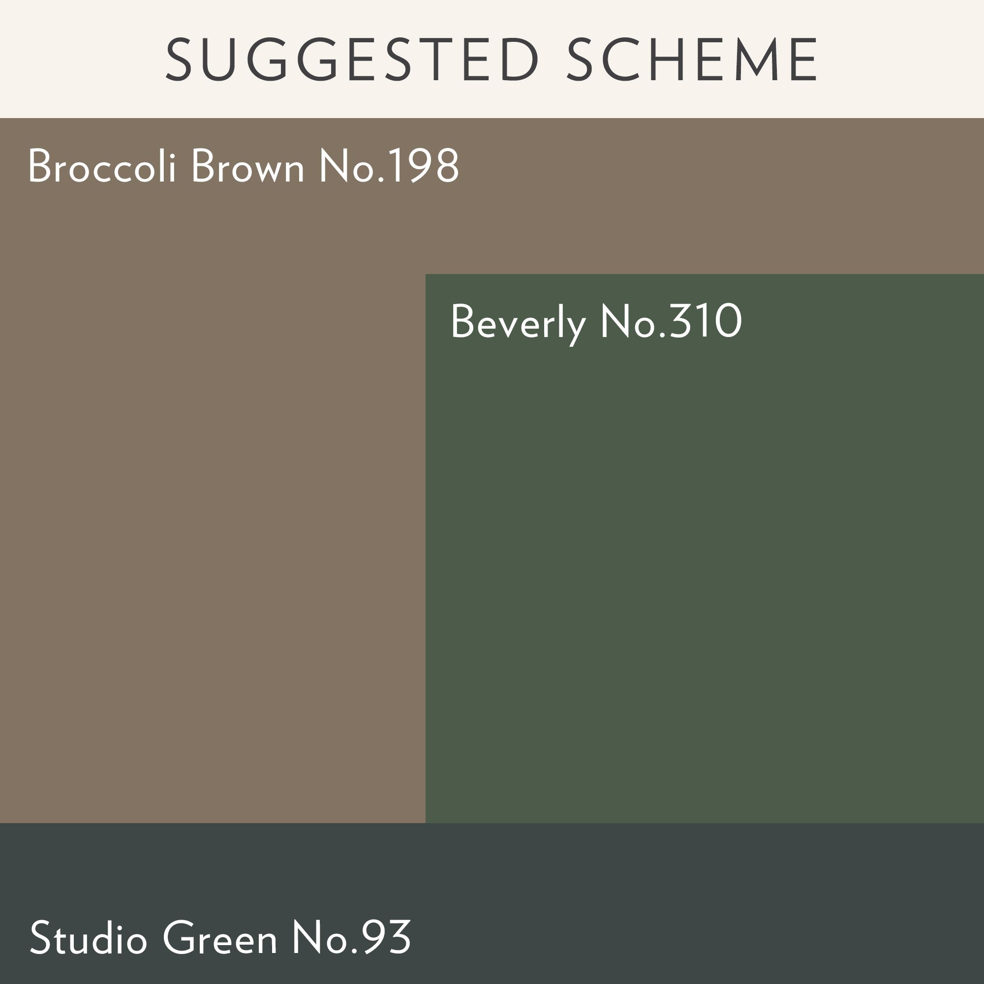 Farrow & Ball Broccoli Brown No.198 Flat matt Wall & ceiling Emulsion paint, 100ml Tester pot