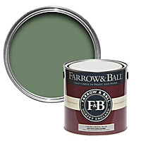Farrow & Ball Estate Calke green No.34 Matt Emulsion paint, 2.5L