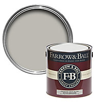 Farrow & Ball Estate Pavilion gray No.242 Matt Emulsion paint, 2.5L