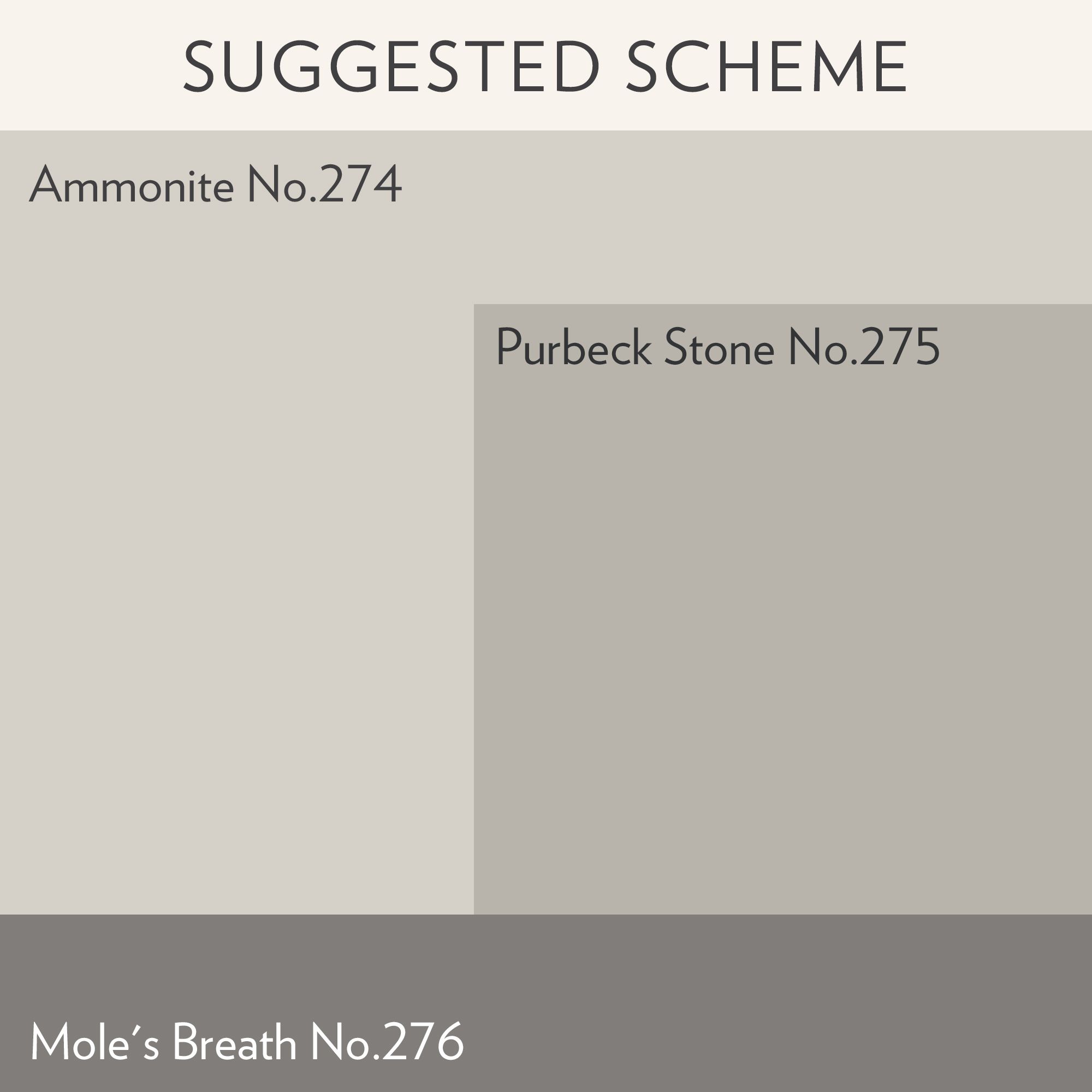 Farrow & Ball Modern Ammonite Matt Wall & ceiling Emulsion paint, 2.5L