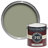Farrow & Ball Modern Lichen No.19 Matt Emulsion paint, 2.5L
