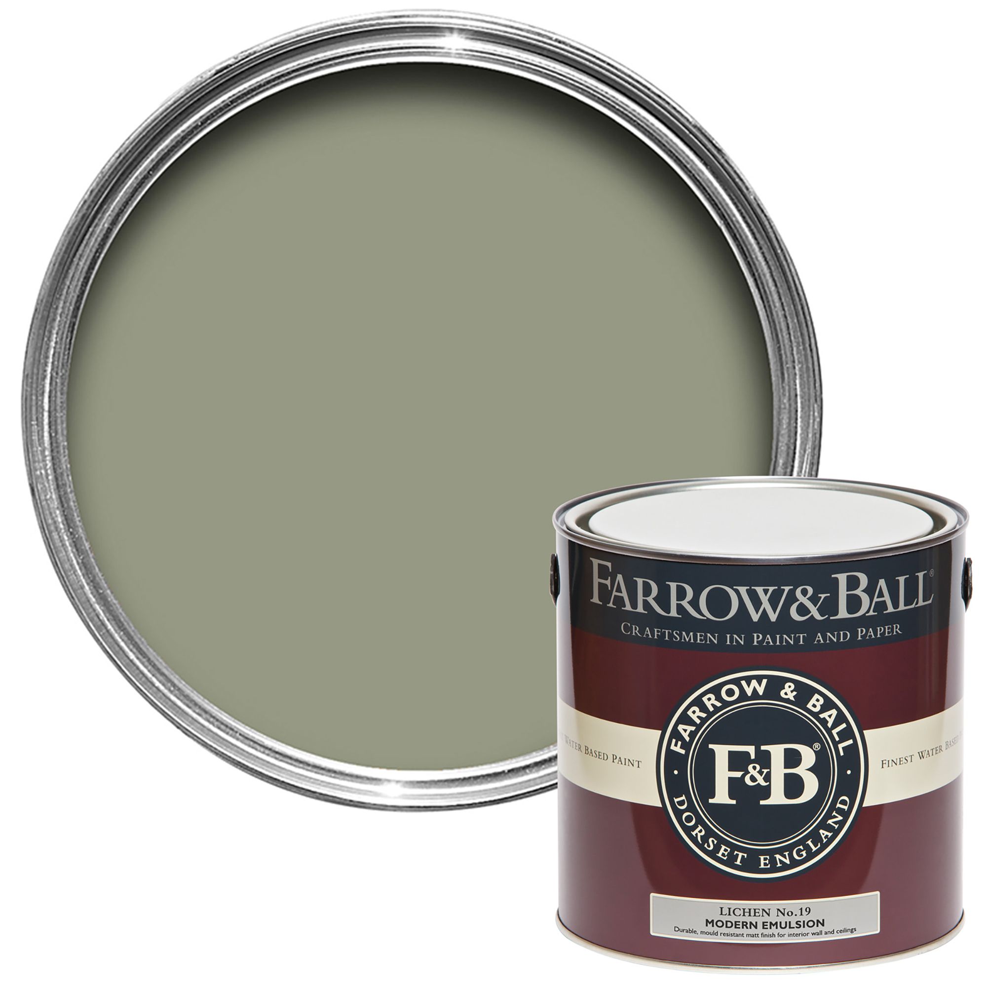 Farrow & Ball Modern Lichen No.19 Matt Emulsion paint, 2.5L