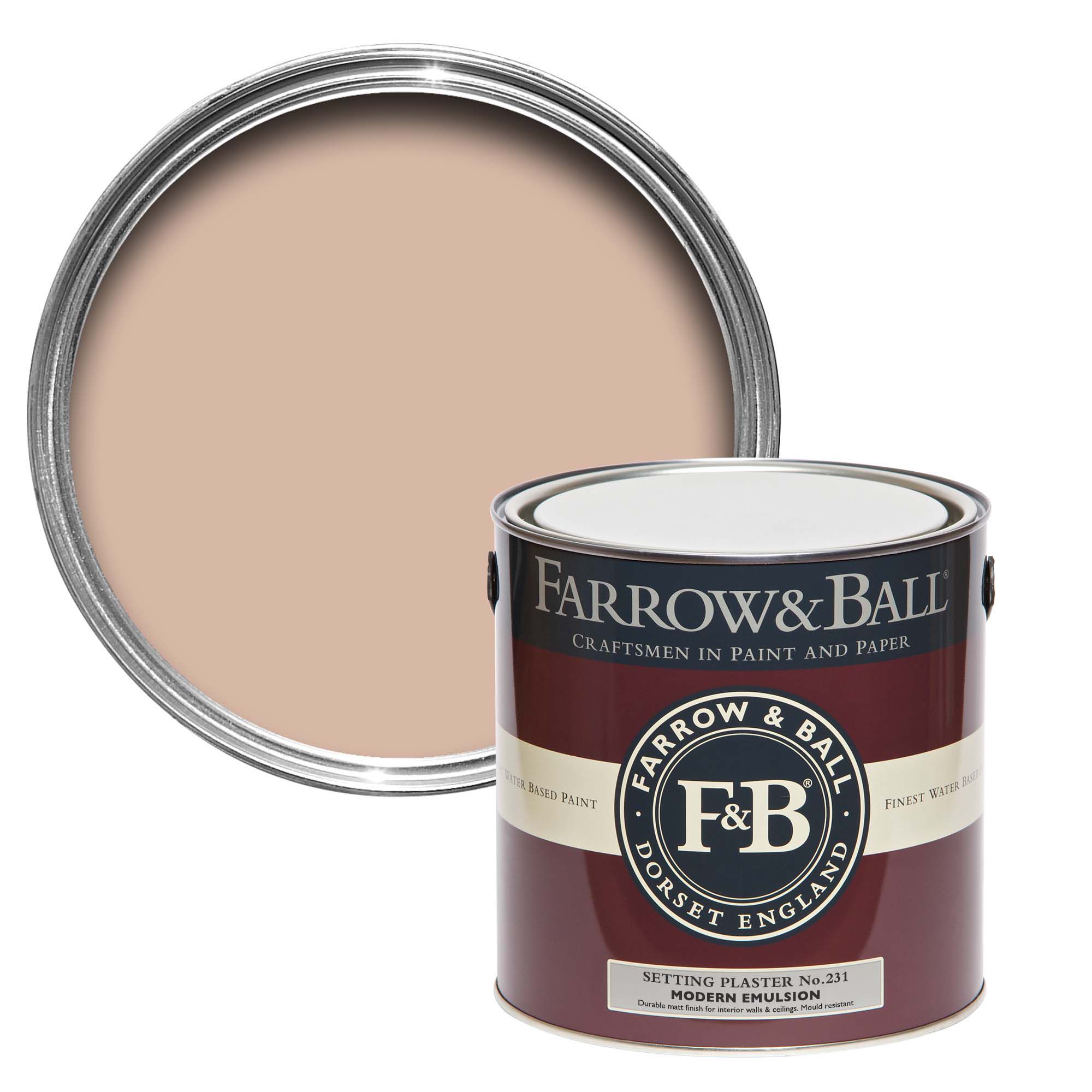 Farrow & Ball Modern Setting Plaster No.231 Matt Emulsion paint, 2.5L