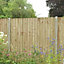 Feather edge Fence panel (W)1.83m (H)1.5m, Pack of 3