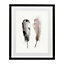 Feathers Grey & pink Framed print (H)430mm (W)330mm