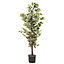 Ficus tree Artificial plant
