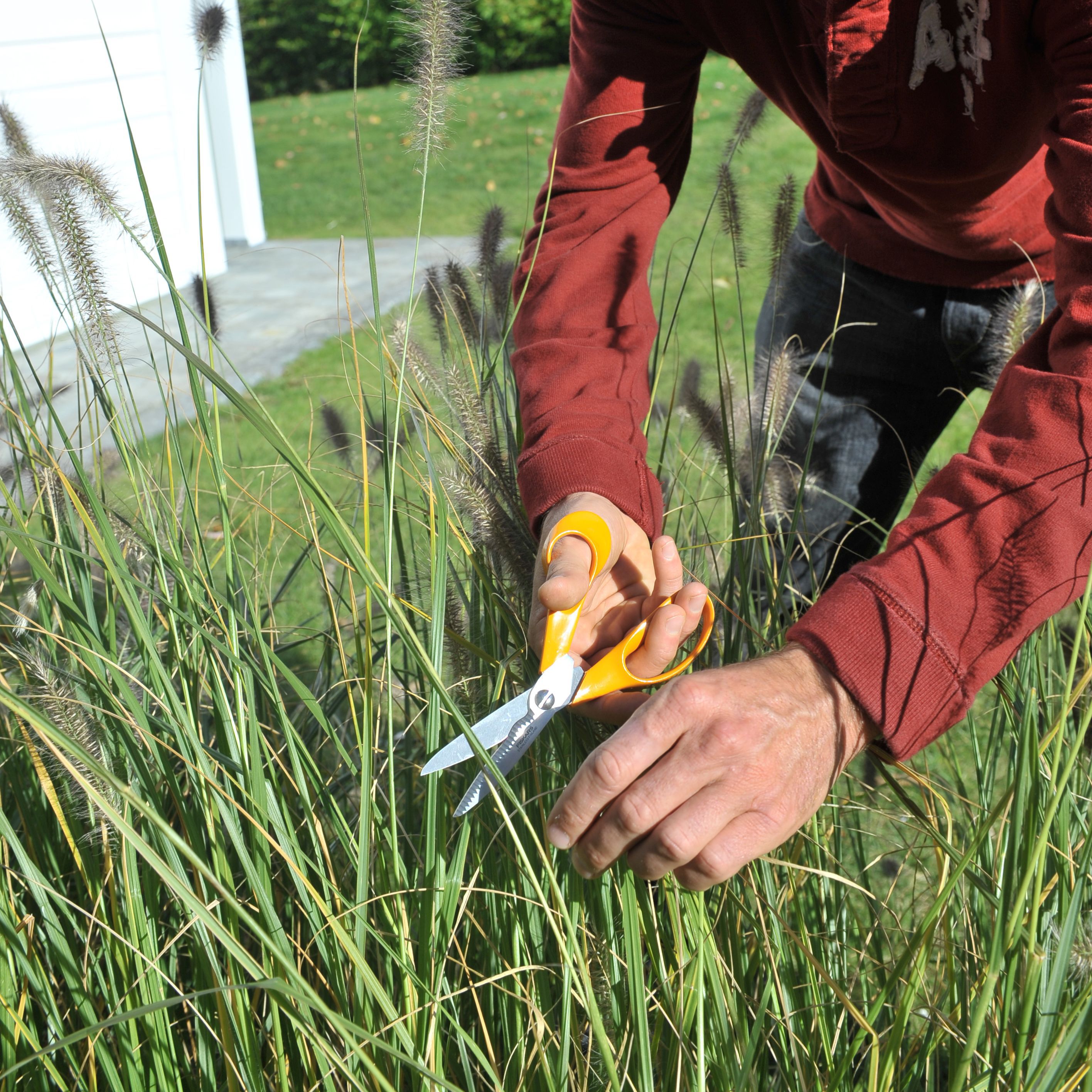Axus Japanese Stainless Steel Wallpaper Scissors