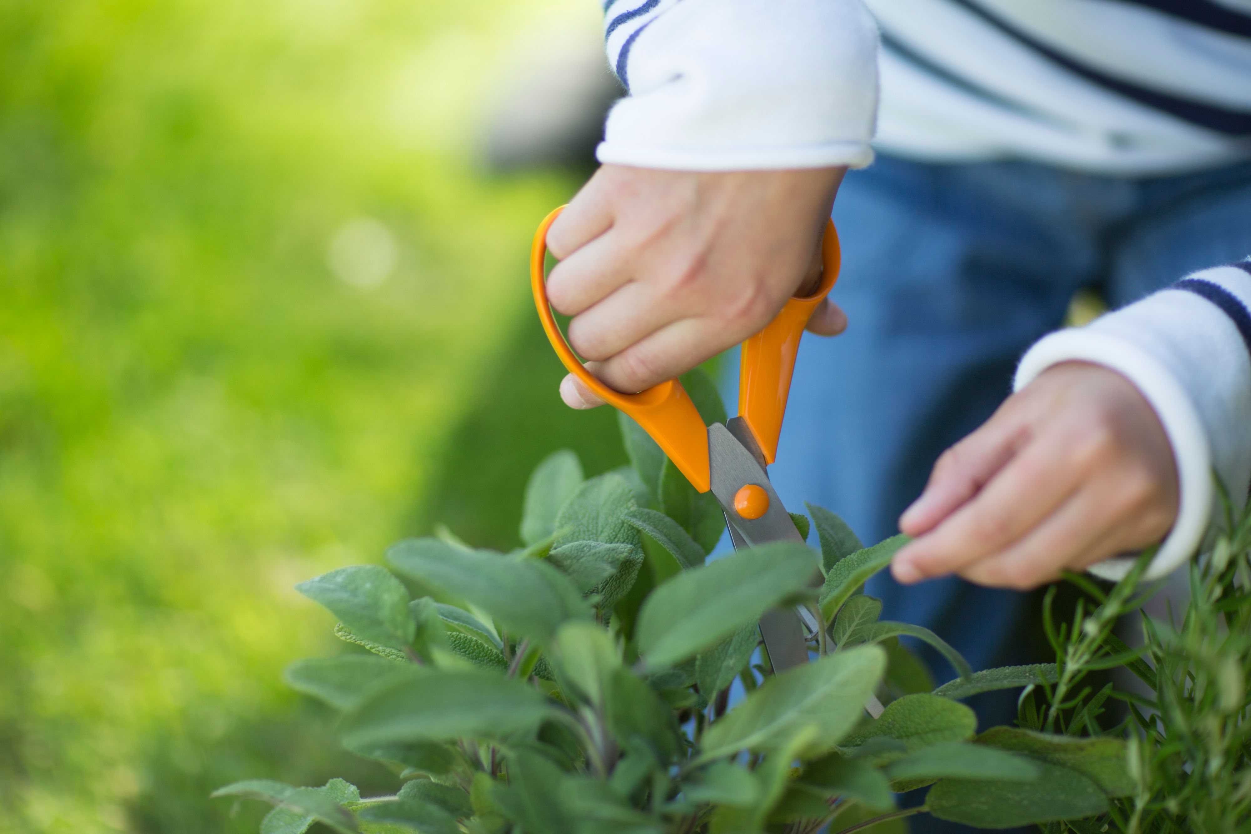 Fiskars 280mm Stainless steel Garden scissors