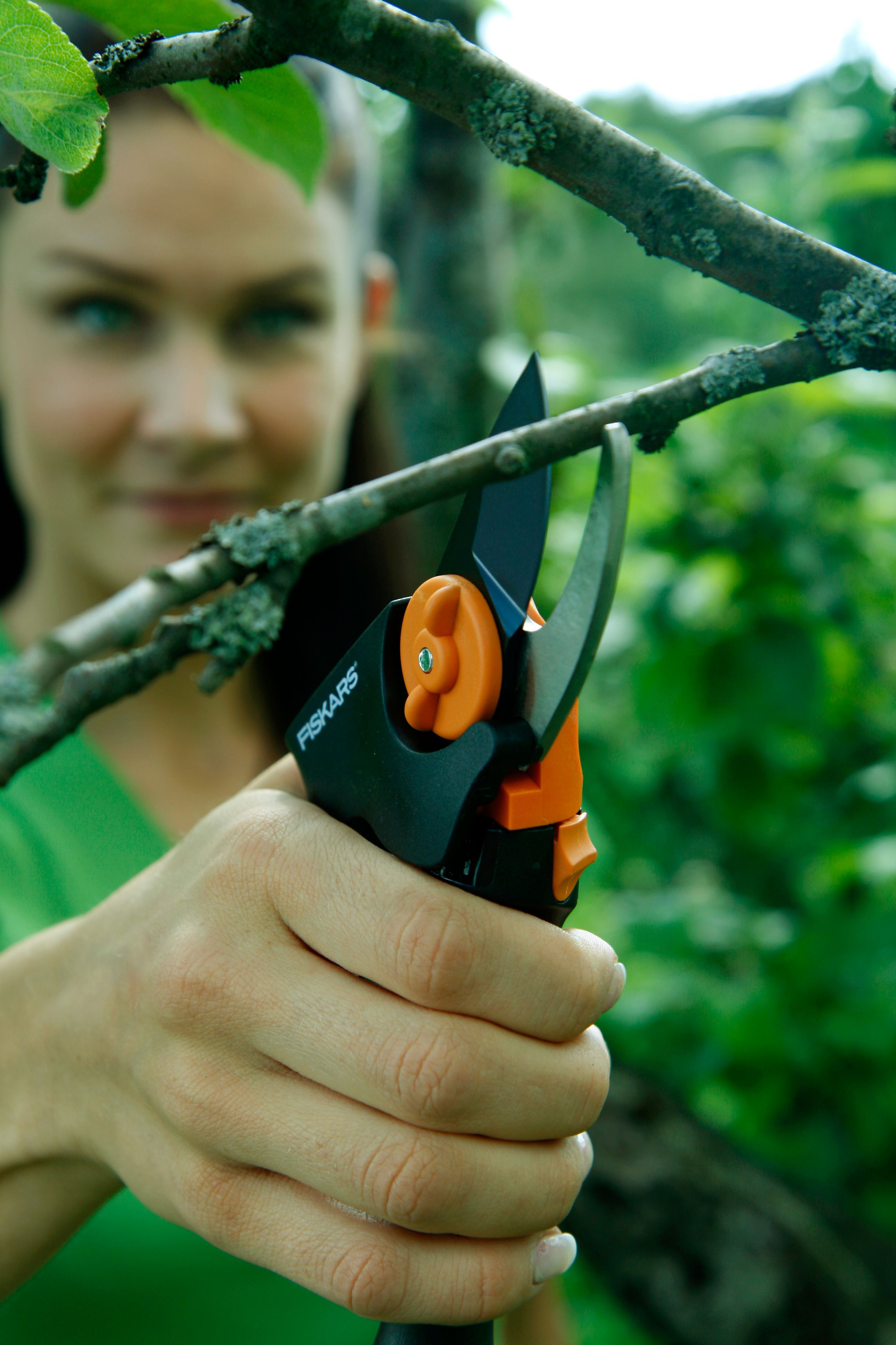 Fiskars Bypass Pruner