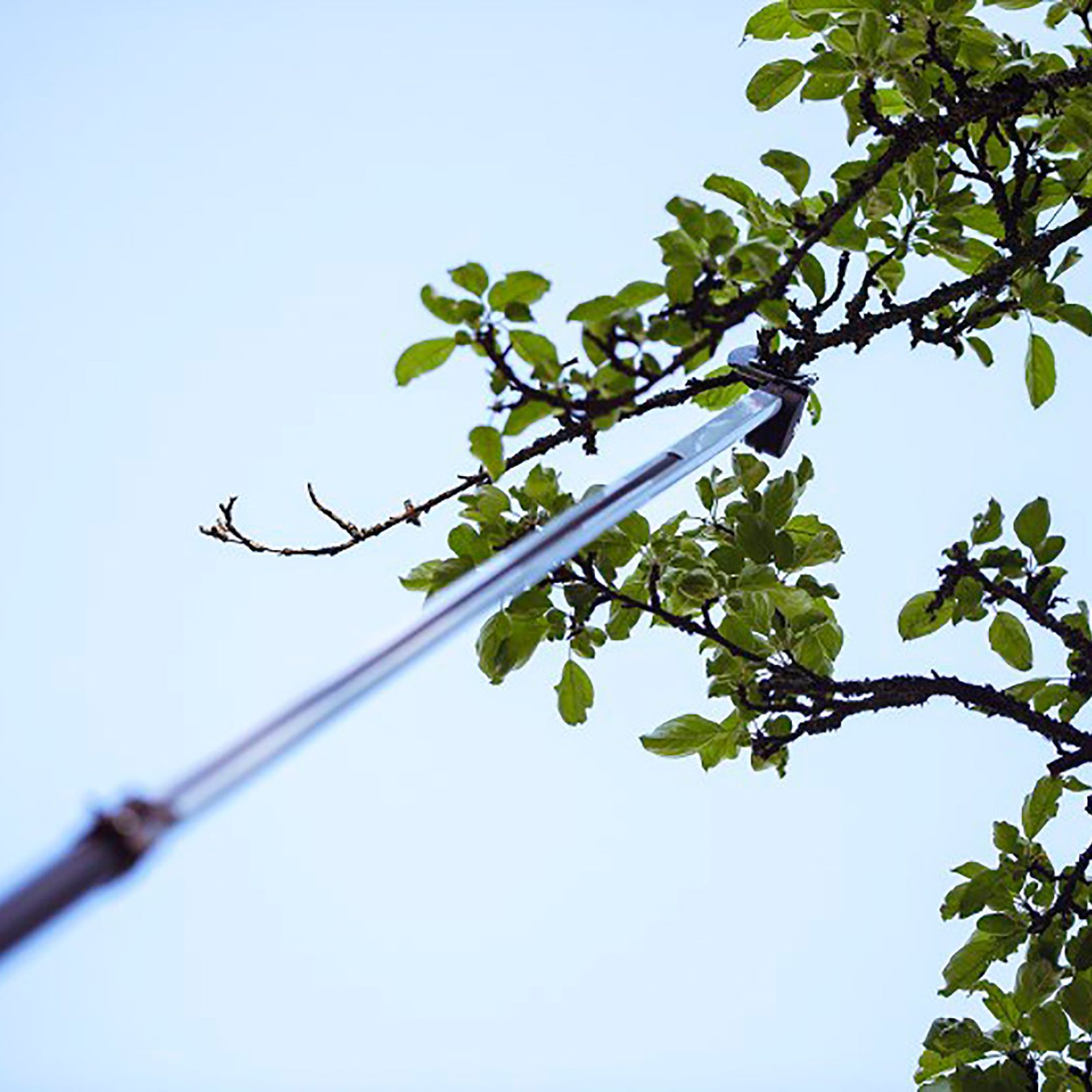 Fiskars Bypass Telescopic Loppers