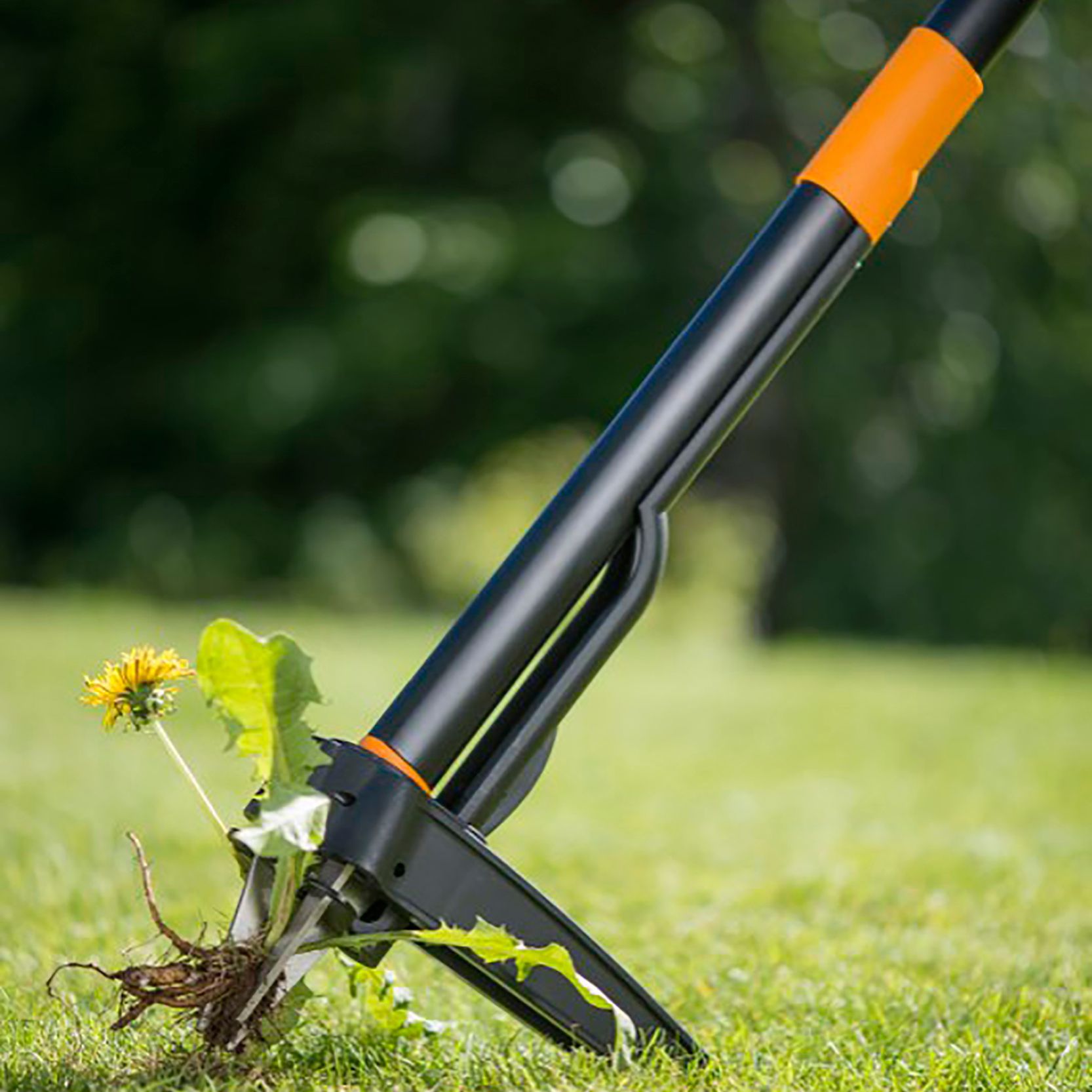 Weed picker discount