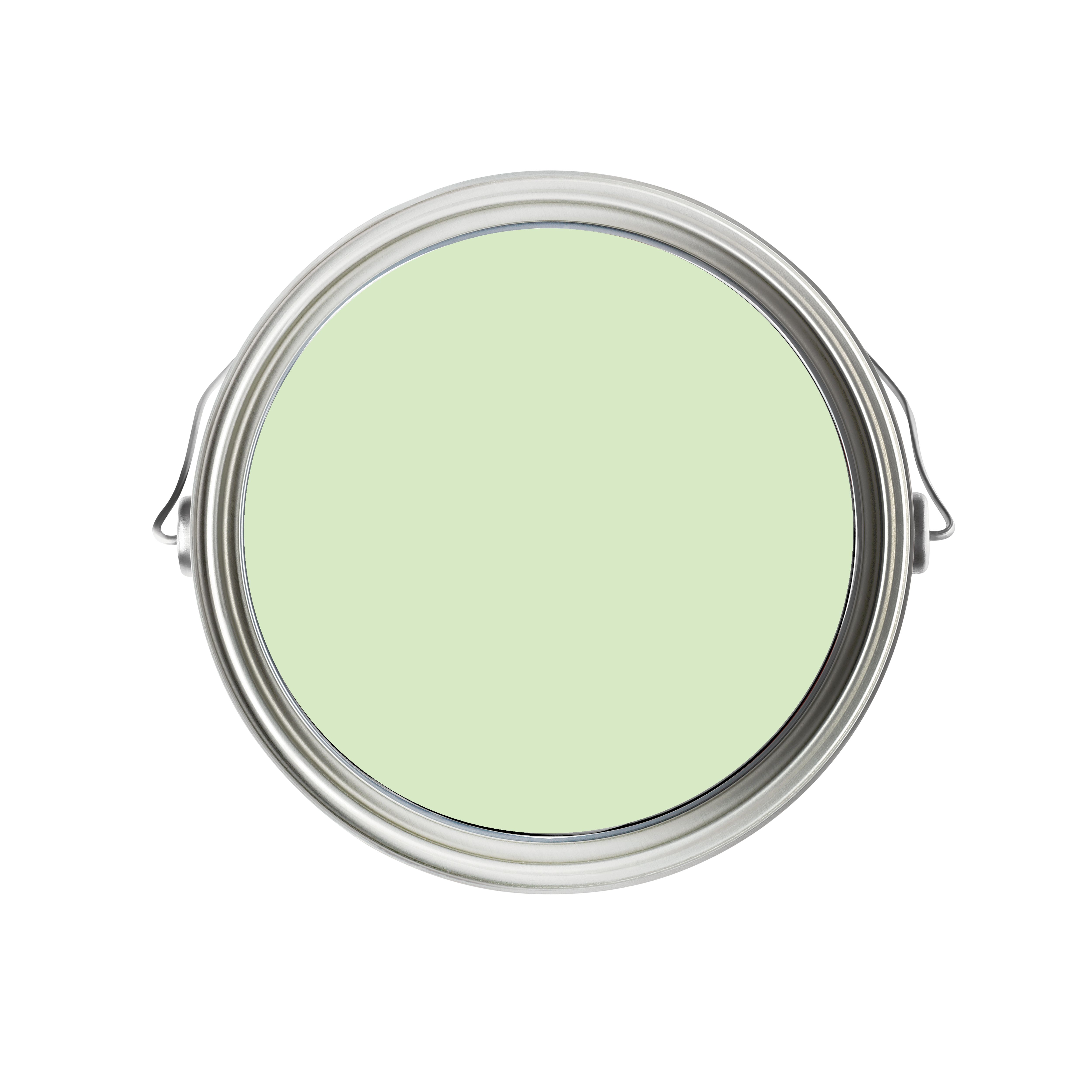 Fleetwood Mint Frost Soft sheen Emulsion paint, 75ml