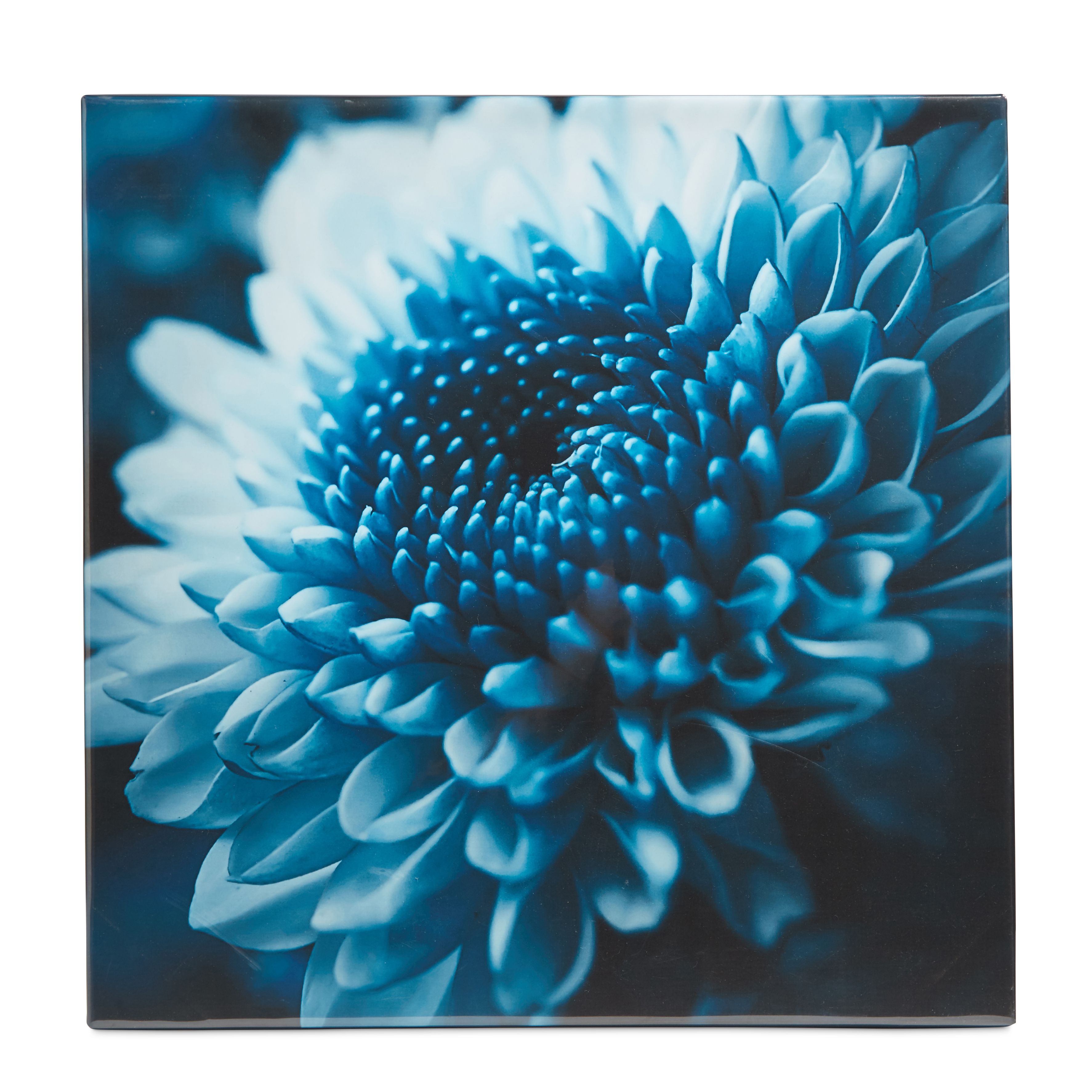 Flower Blue Canvas art (H)55cm x (W)55cm