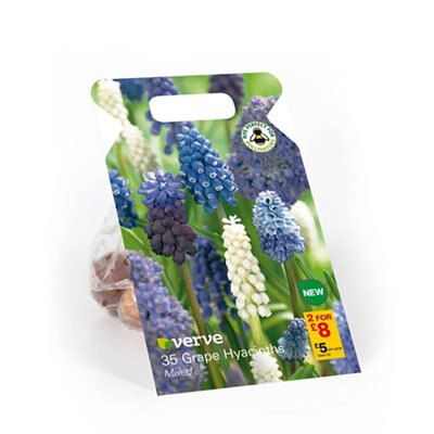 Flower bulbs, 0.14kg