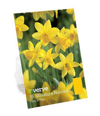 Flower bulbs, 0.24kg