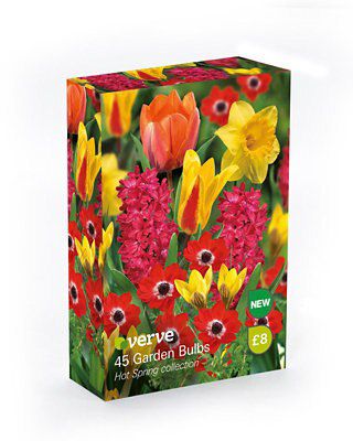 Flower bulbs, 0.8kg