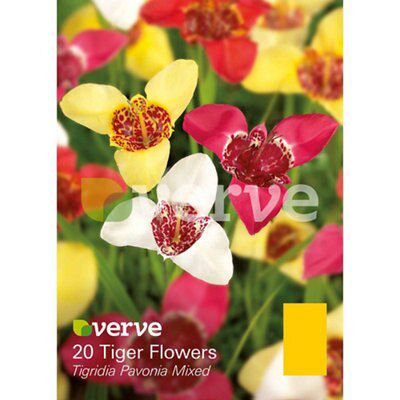 Flower bulbs