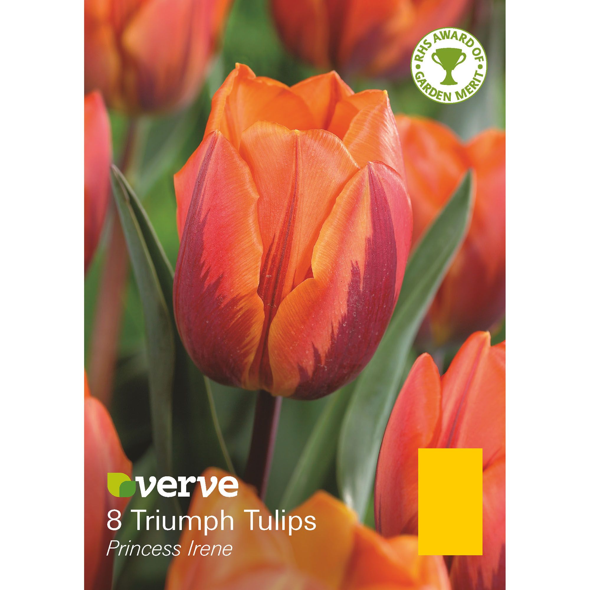 Flower bulbs