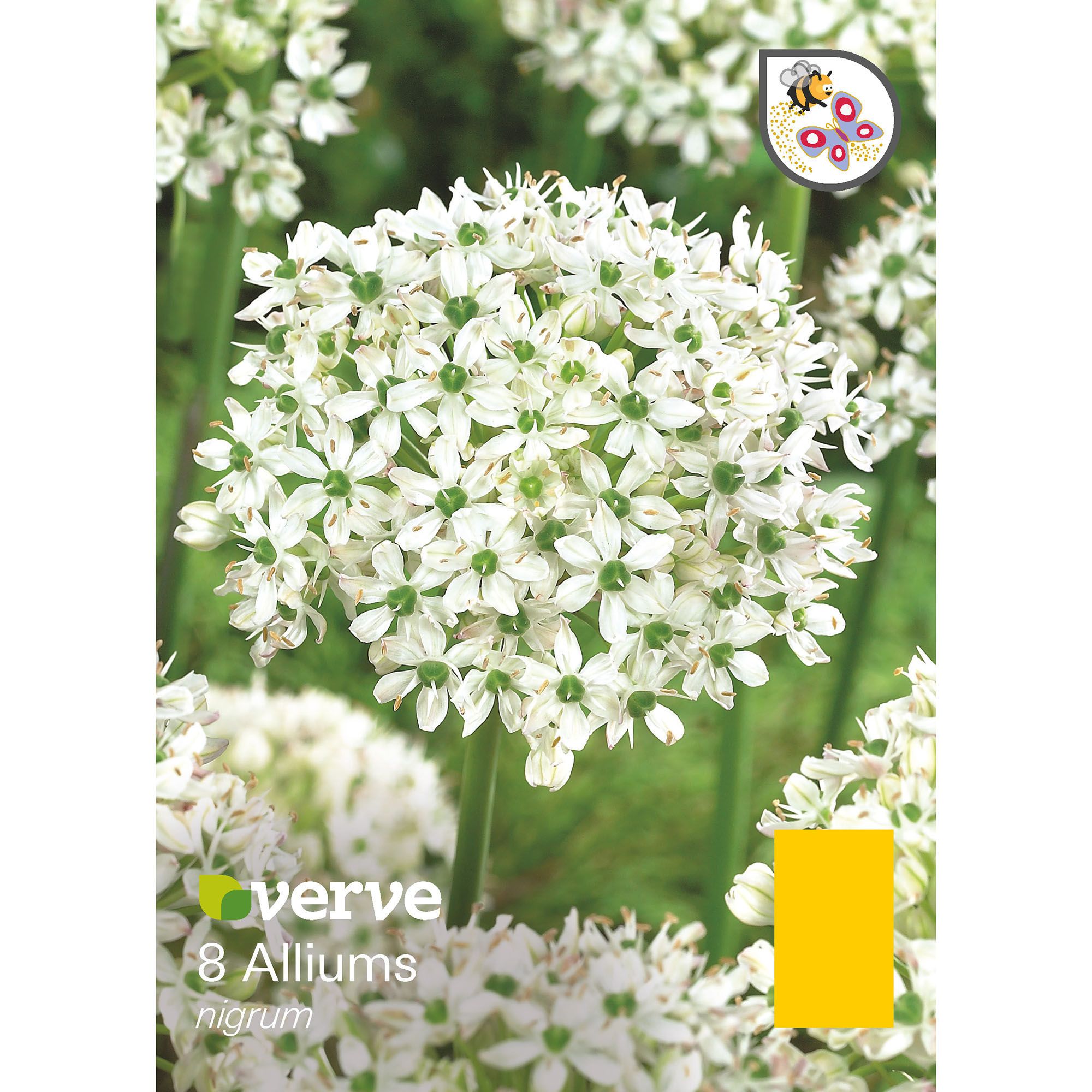 Flower bulbs