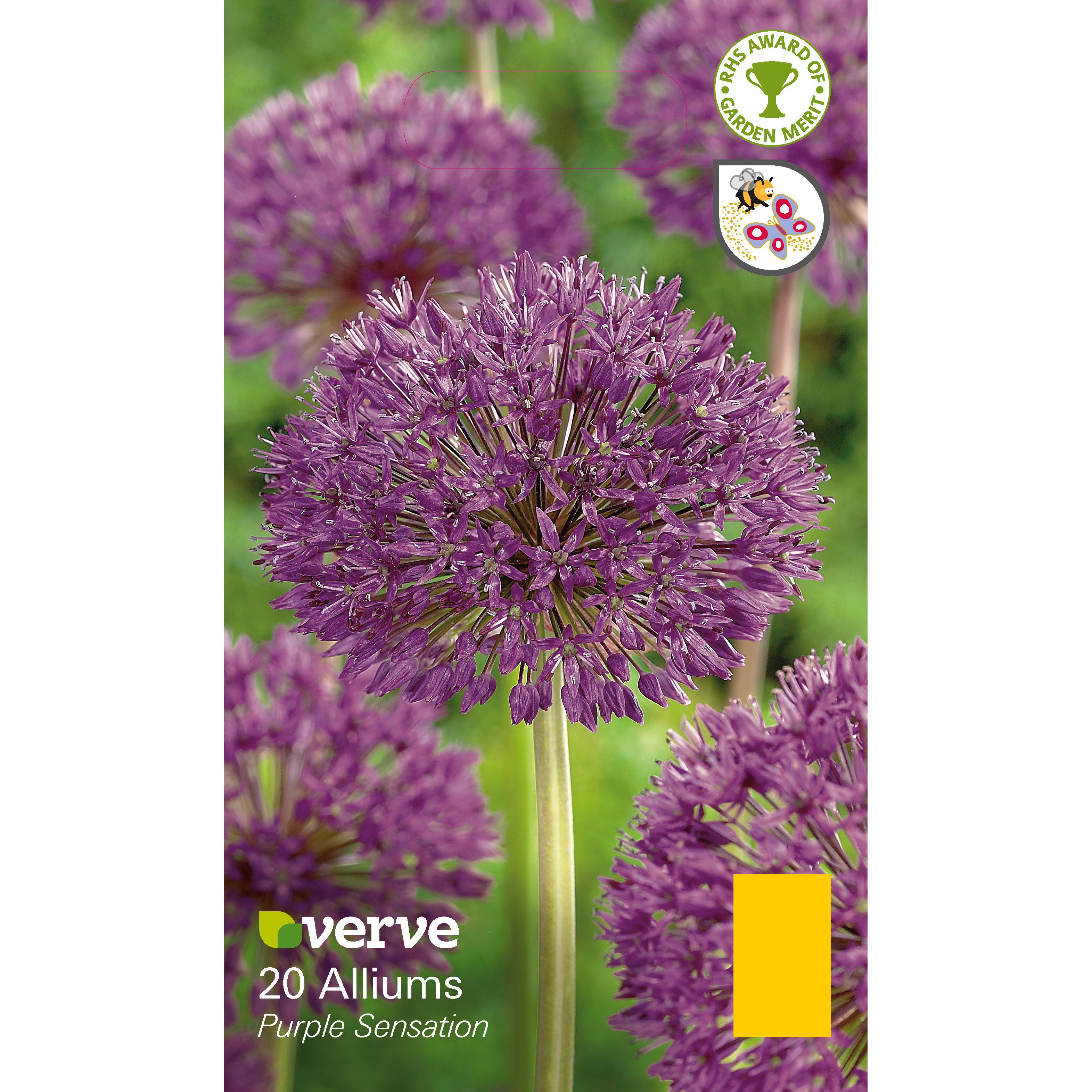 Flower bulbs
