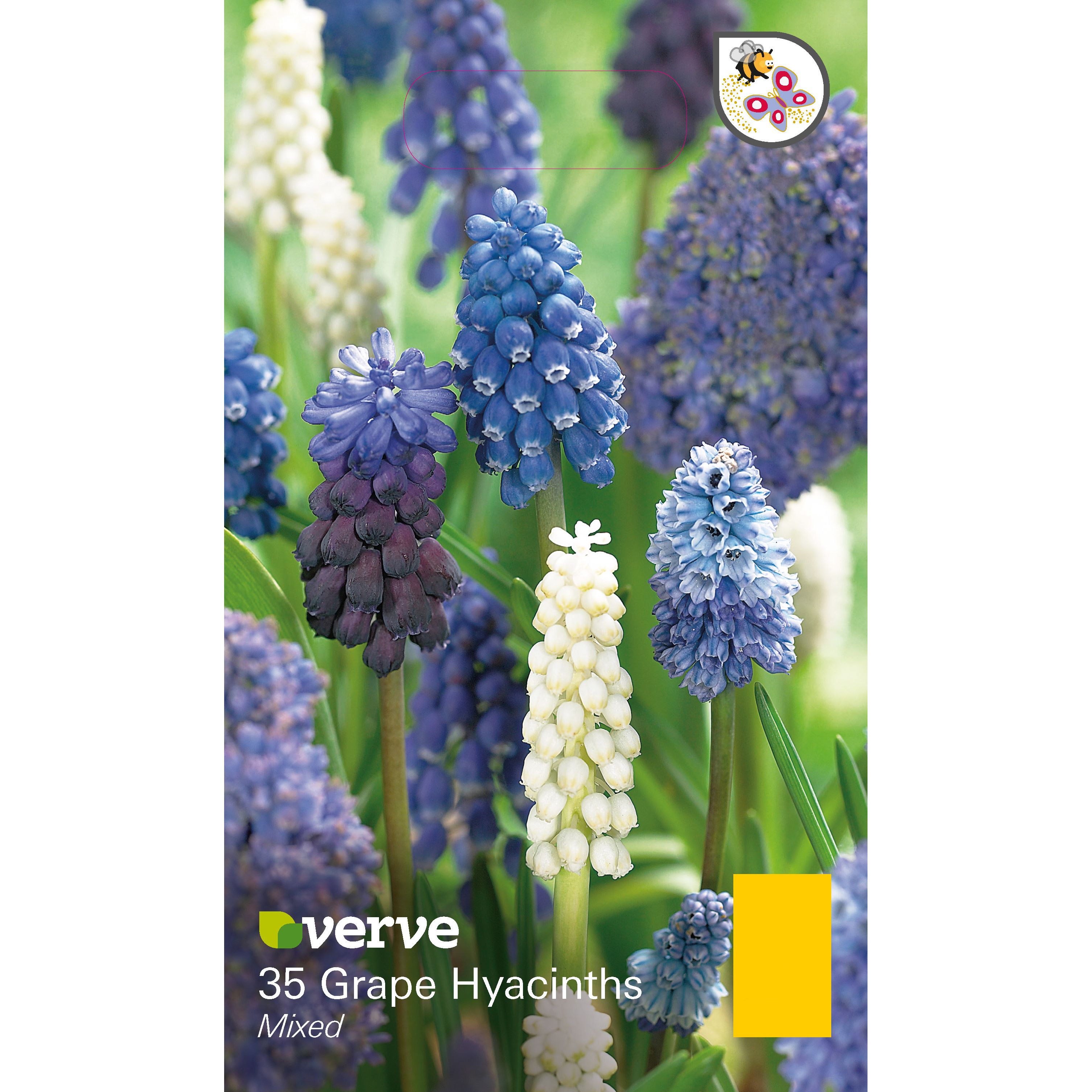 Flower bulbs