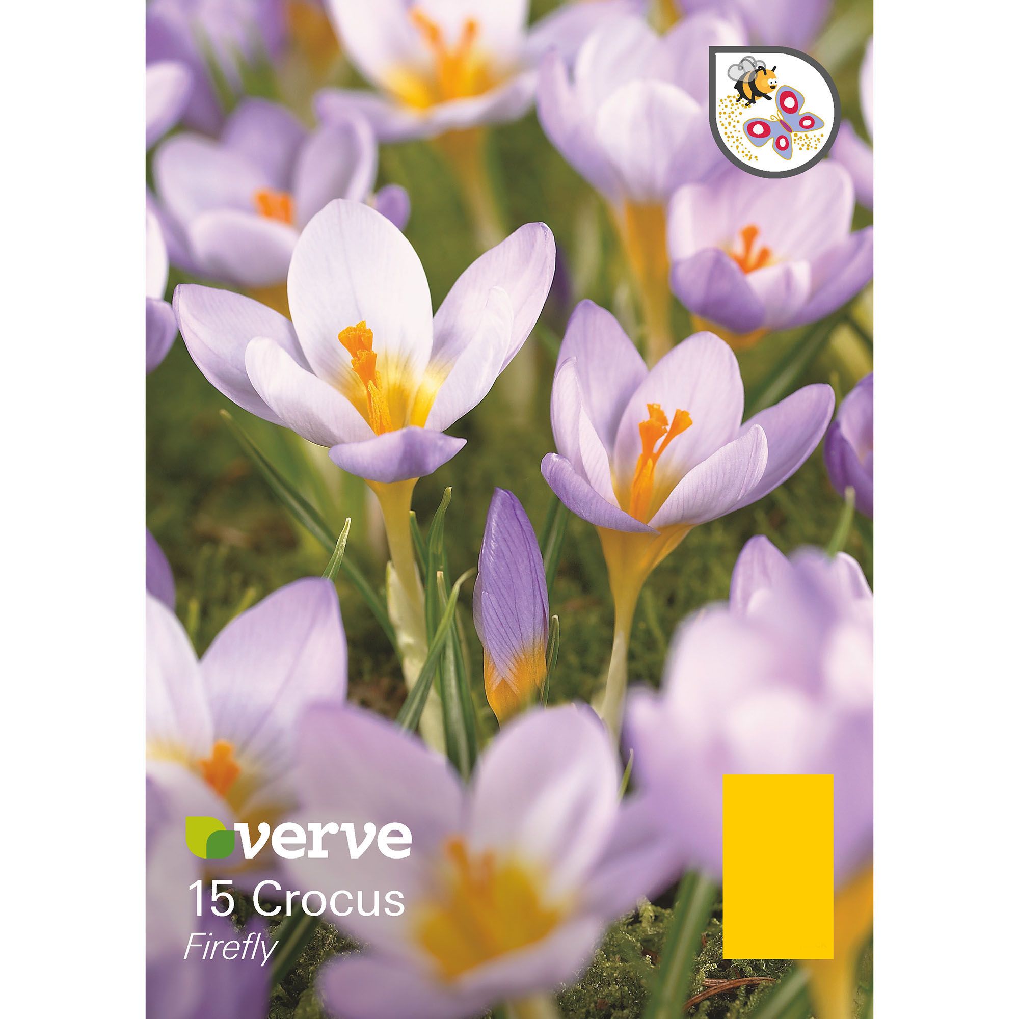 Flower bulbs
