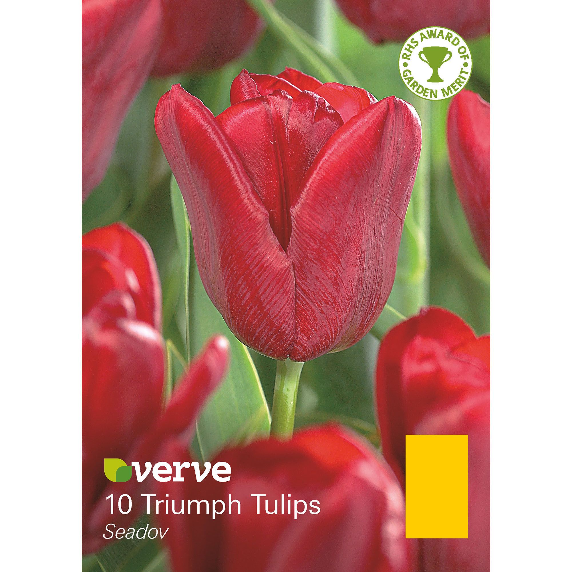 Flower bulbs