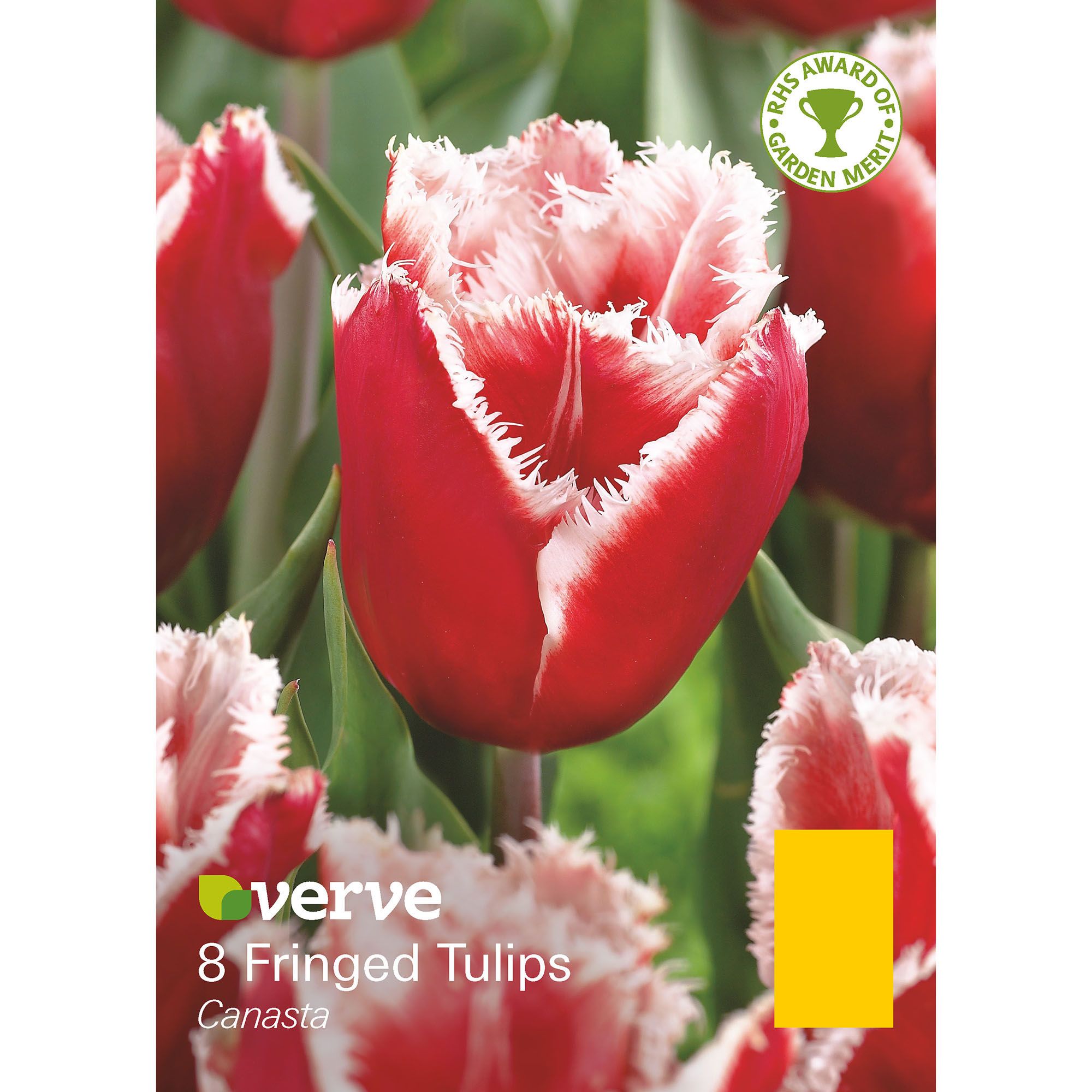 Flower bulbs