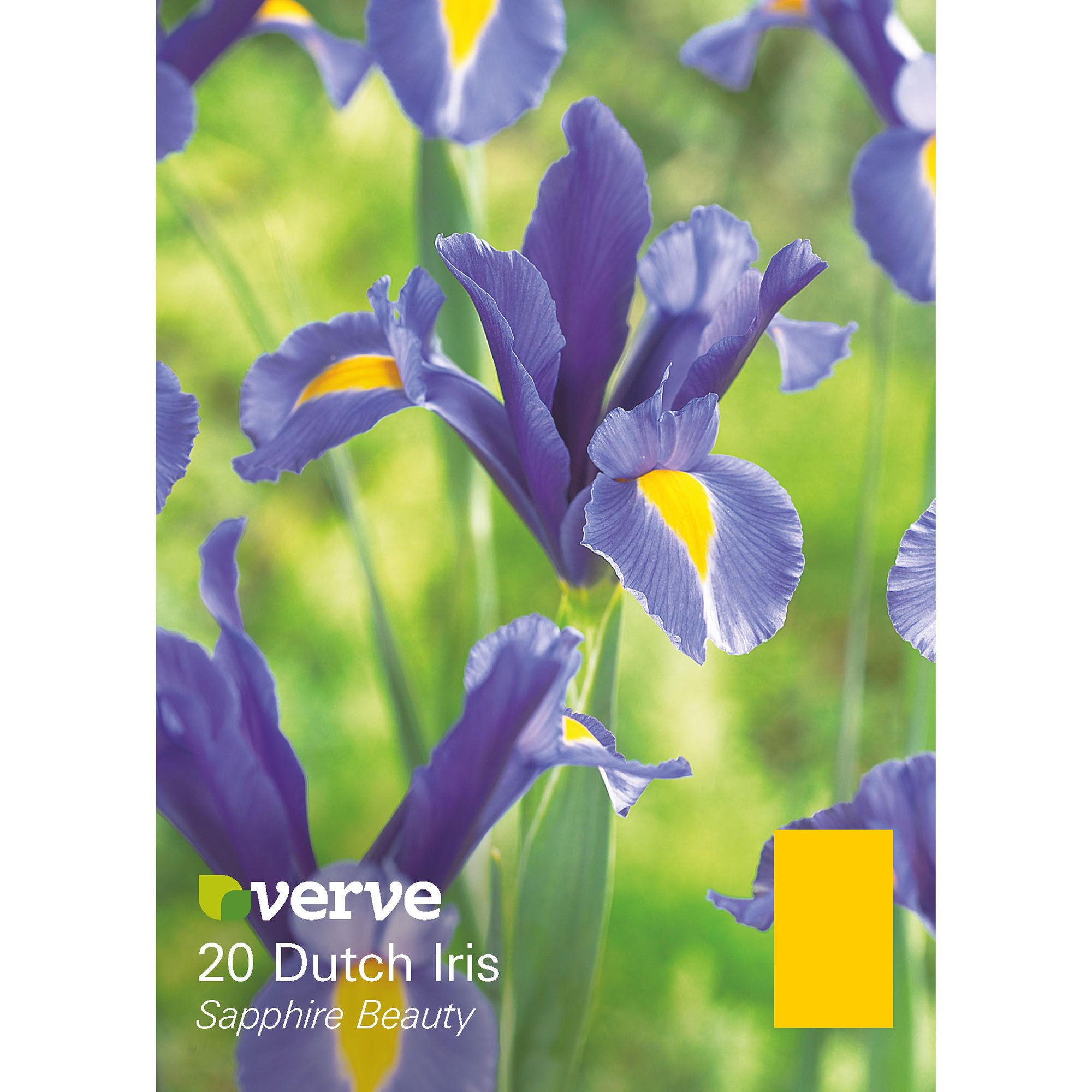 Flower bulbs