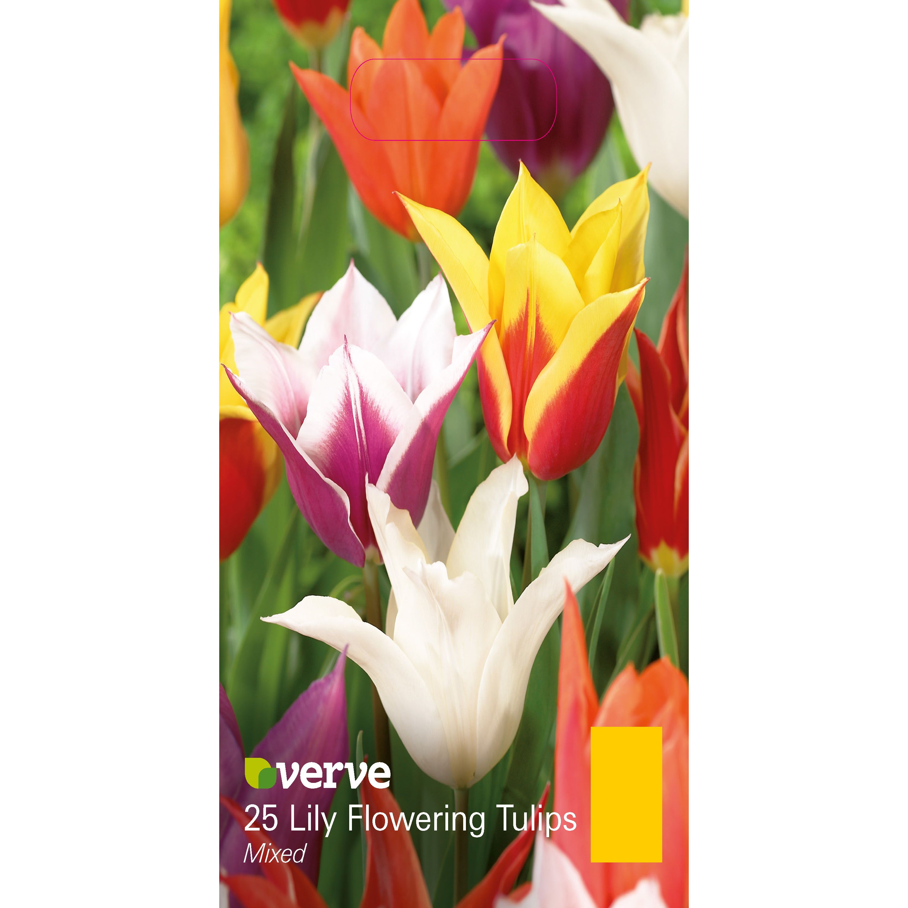 Flower bulbs
