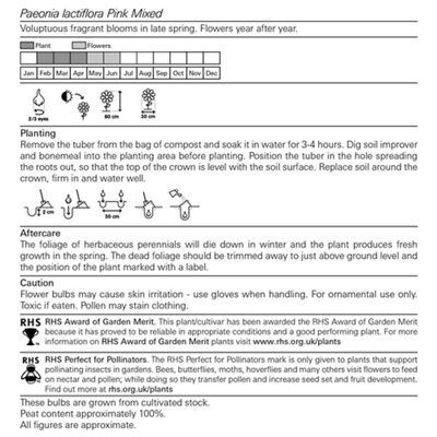 Flower bulbs