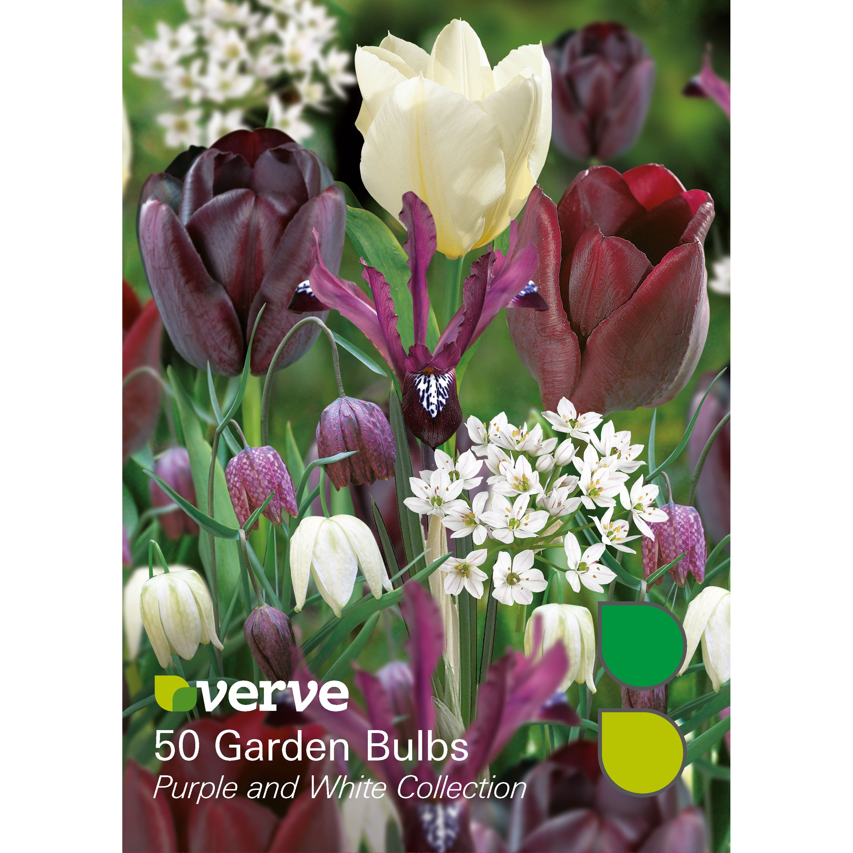 Flower bulbs