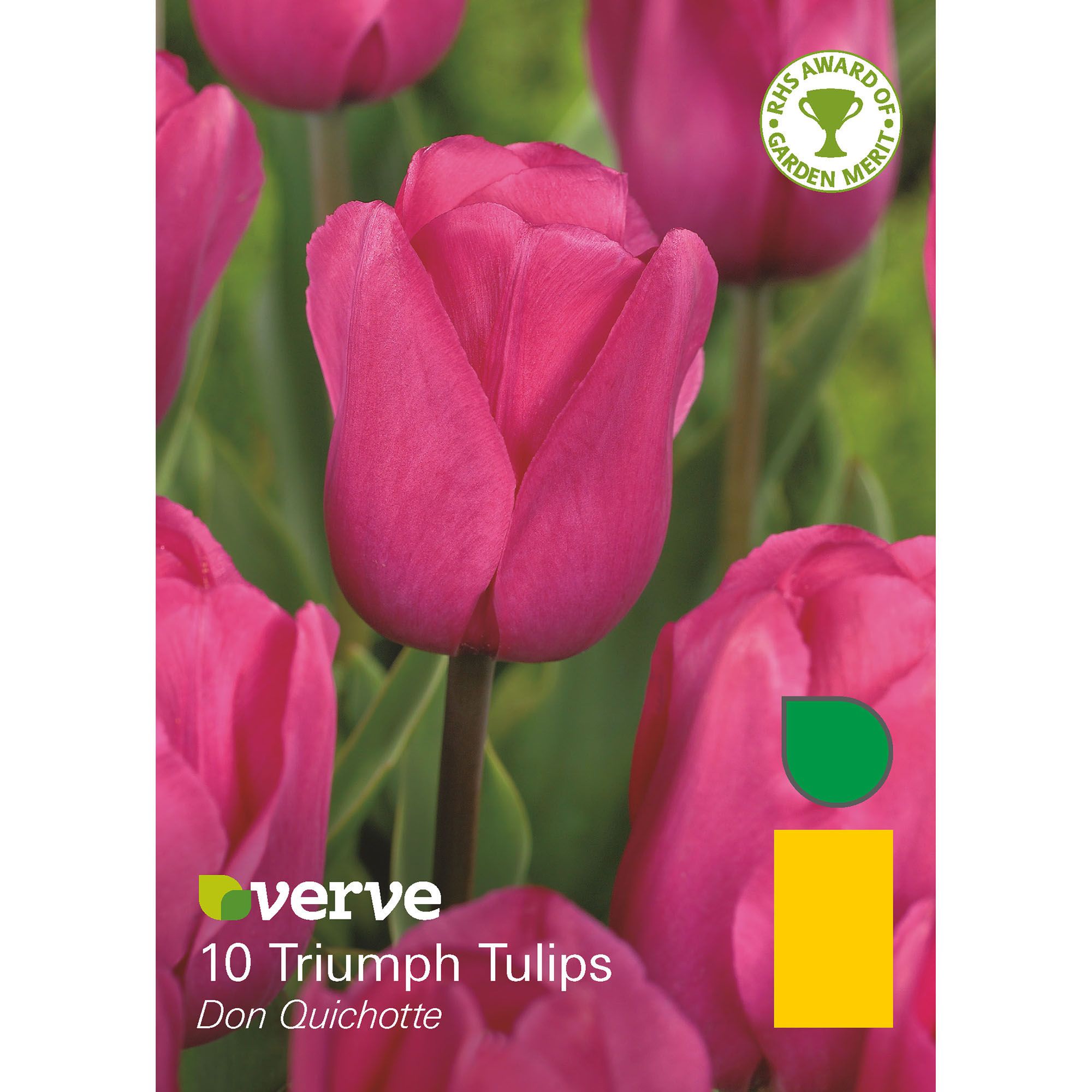 Flower bulbs