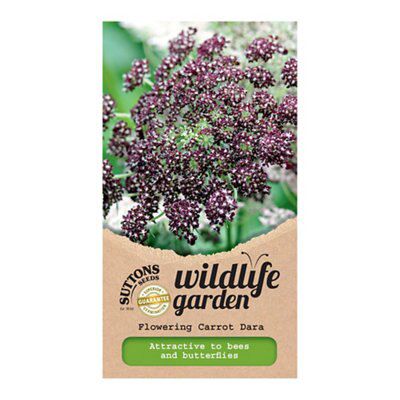 Flowering carrot dara Seed