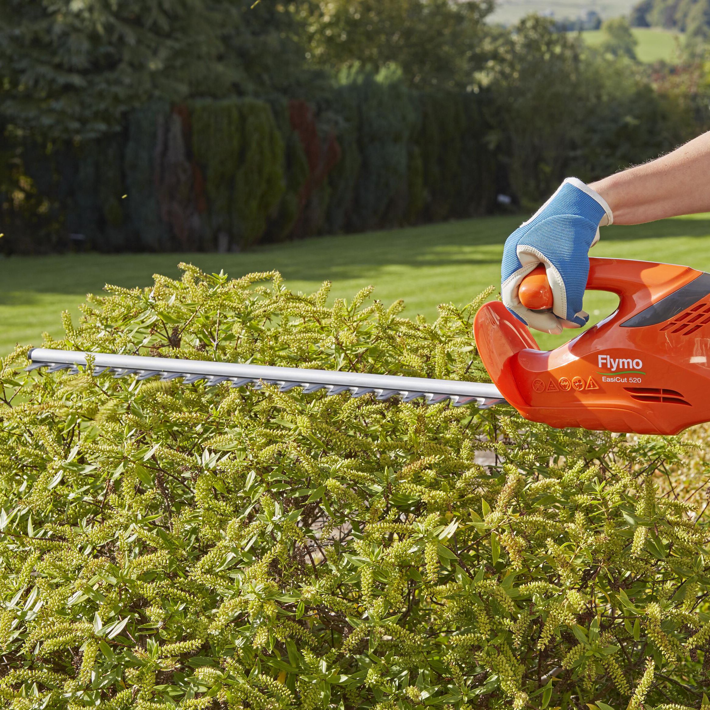 Flymo Easicut Corded 500W Hedge trimmer - 500mm