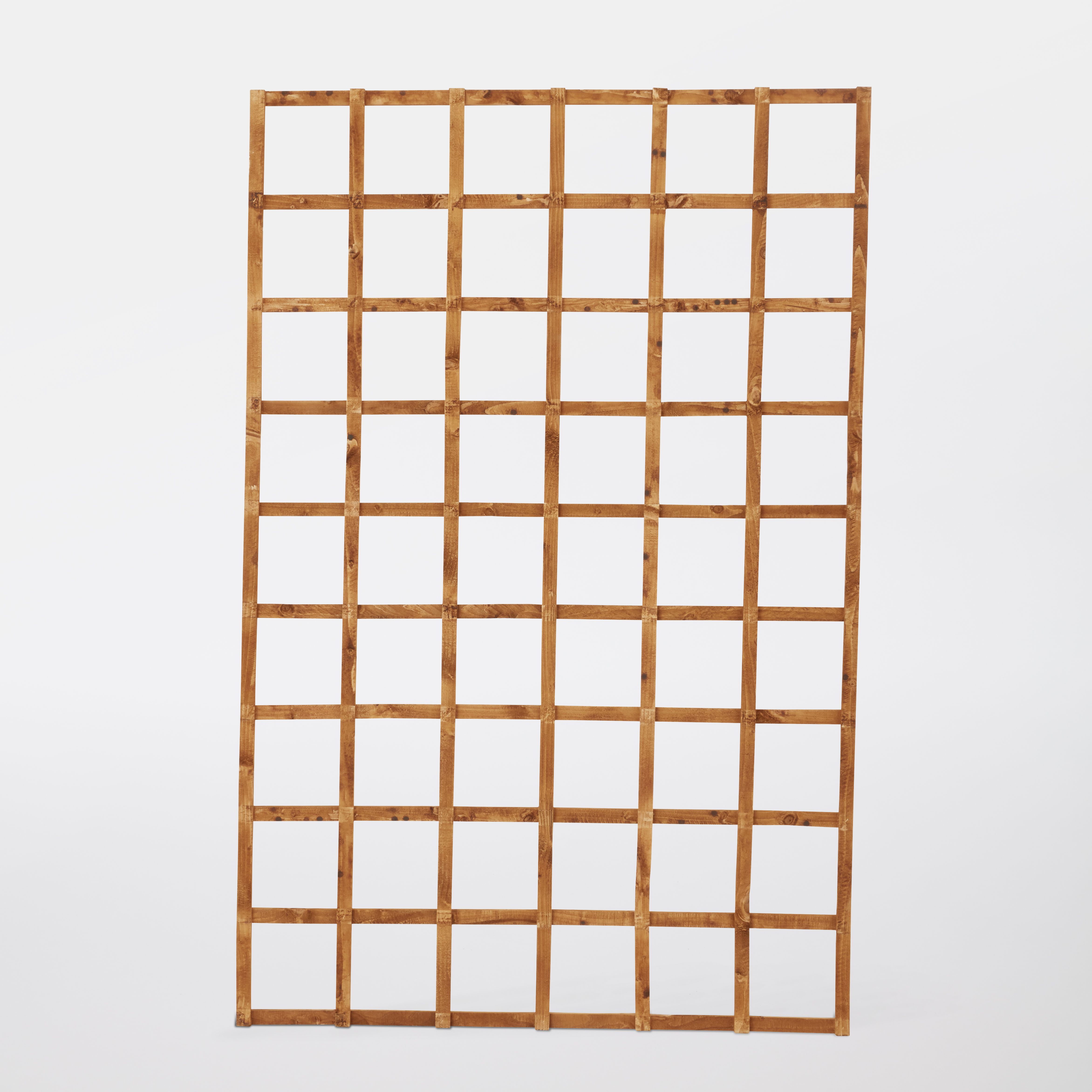 Forest Garden 6ft Square European softwood Trellis panel (W)120cm x (H)183cm
