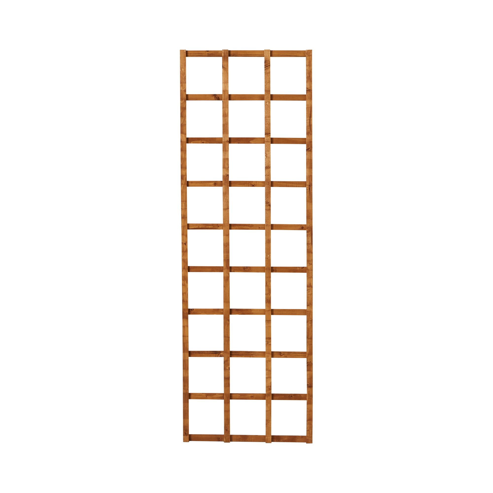 Forest Garden 6ft Square European softwood Trellis panel (W)60cm x (H)183cm