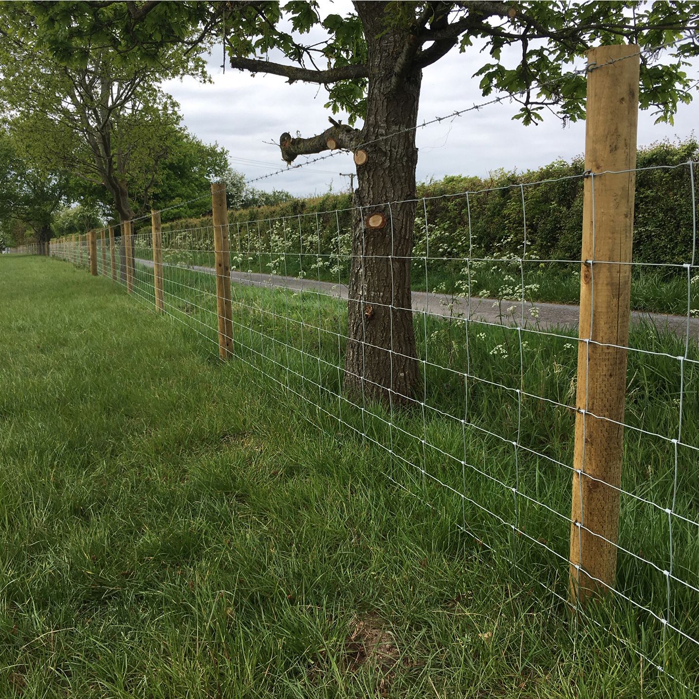 Forest Garden Natural Timber Garden stake (L)0.09m (W)85mm