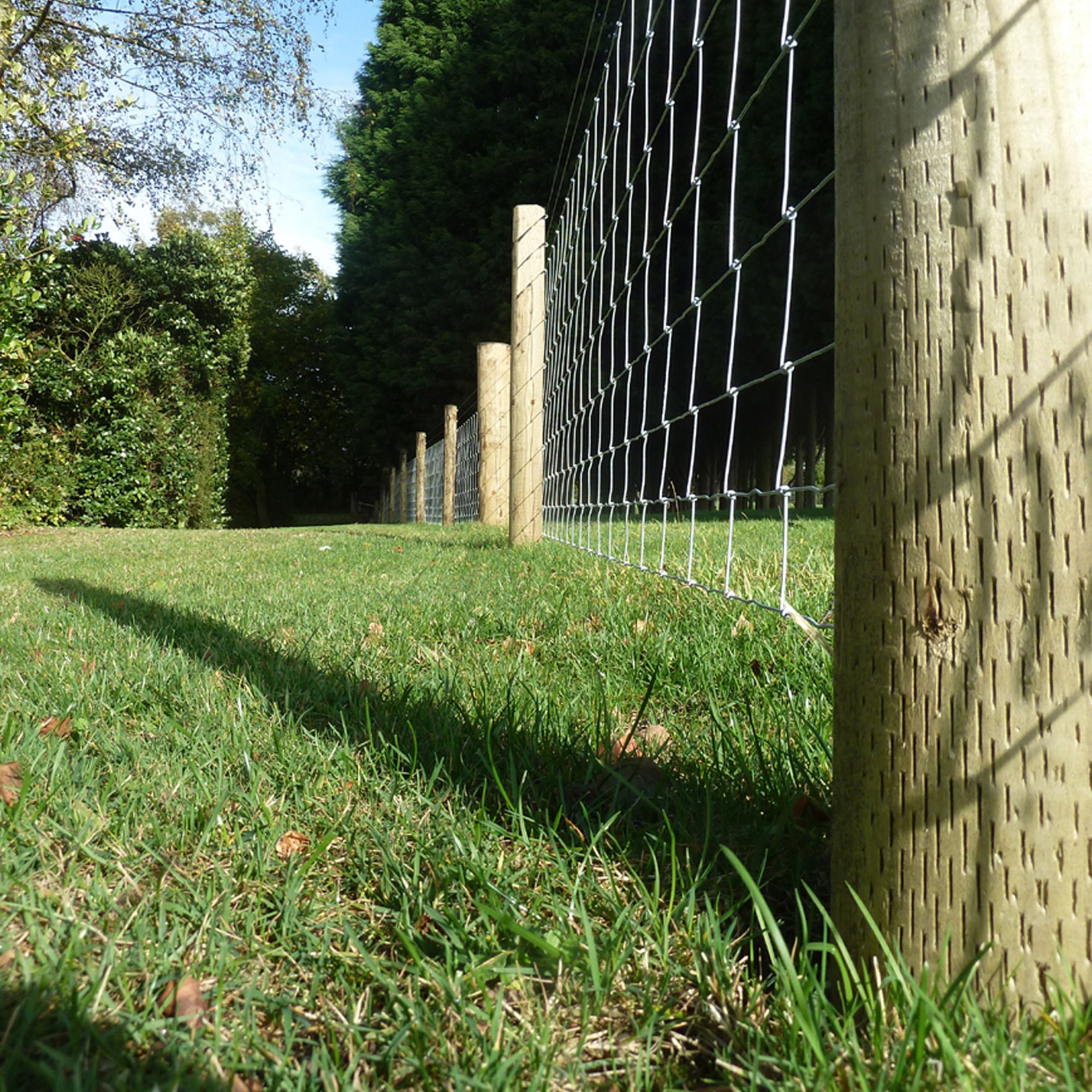 Forest Garden Natural Timber Garden stake (L)0.09m (W)85mm