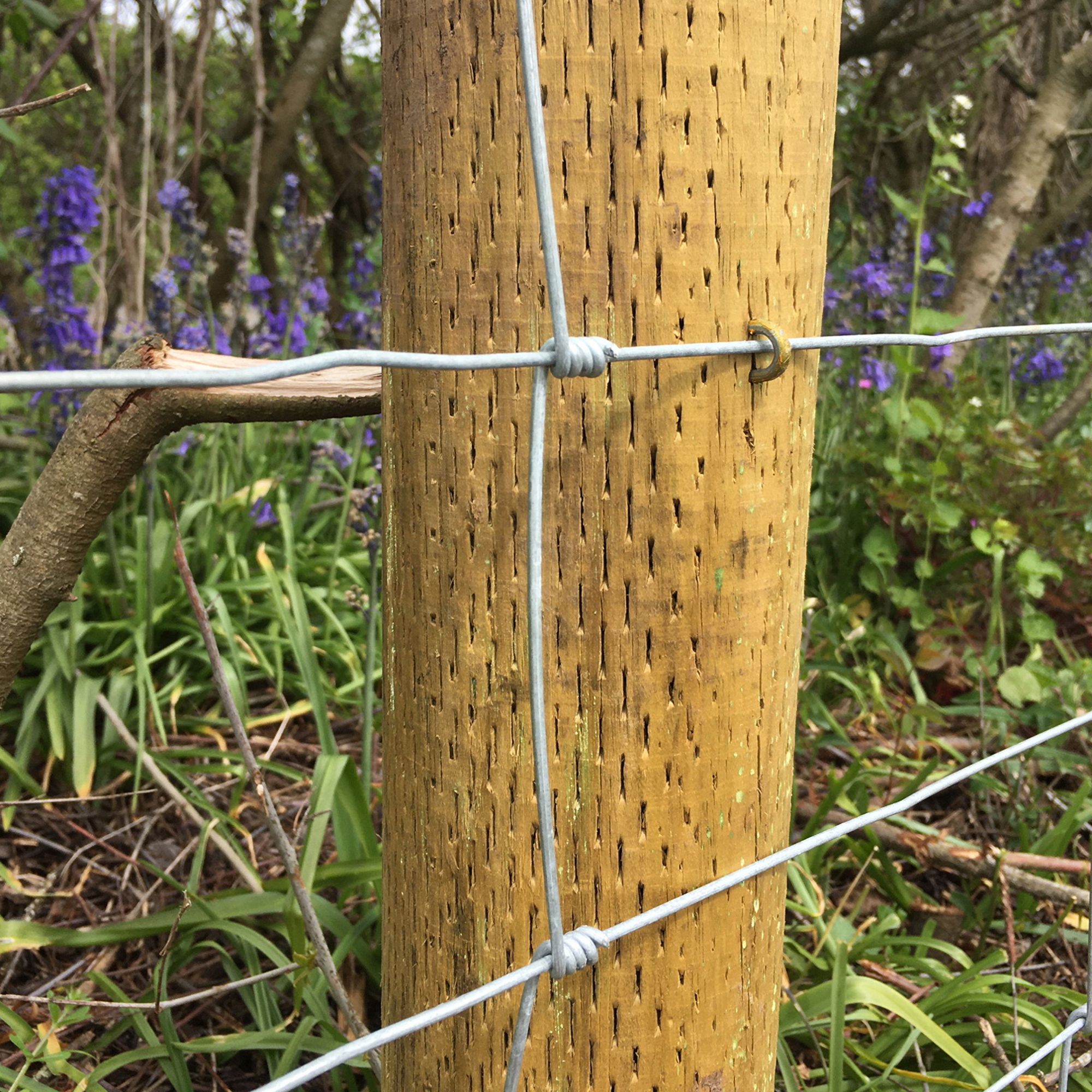 Forest Garden Natural Timber Garden stake (L)0.09m (W)85mm