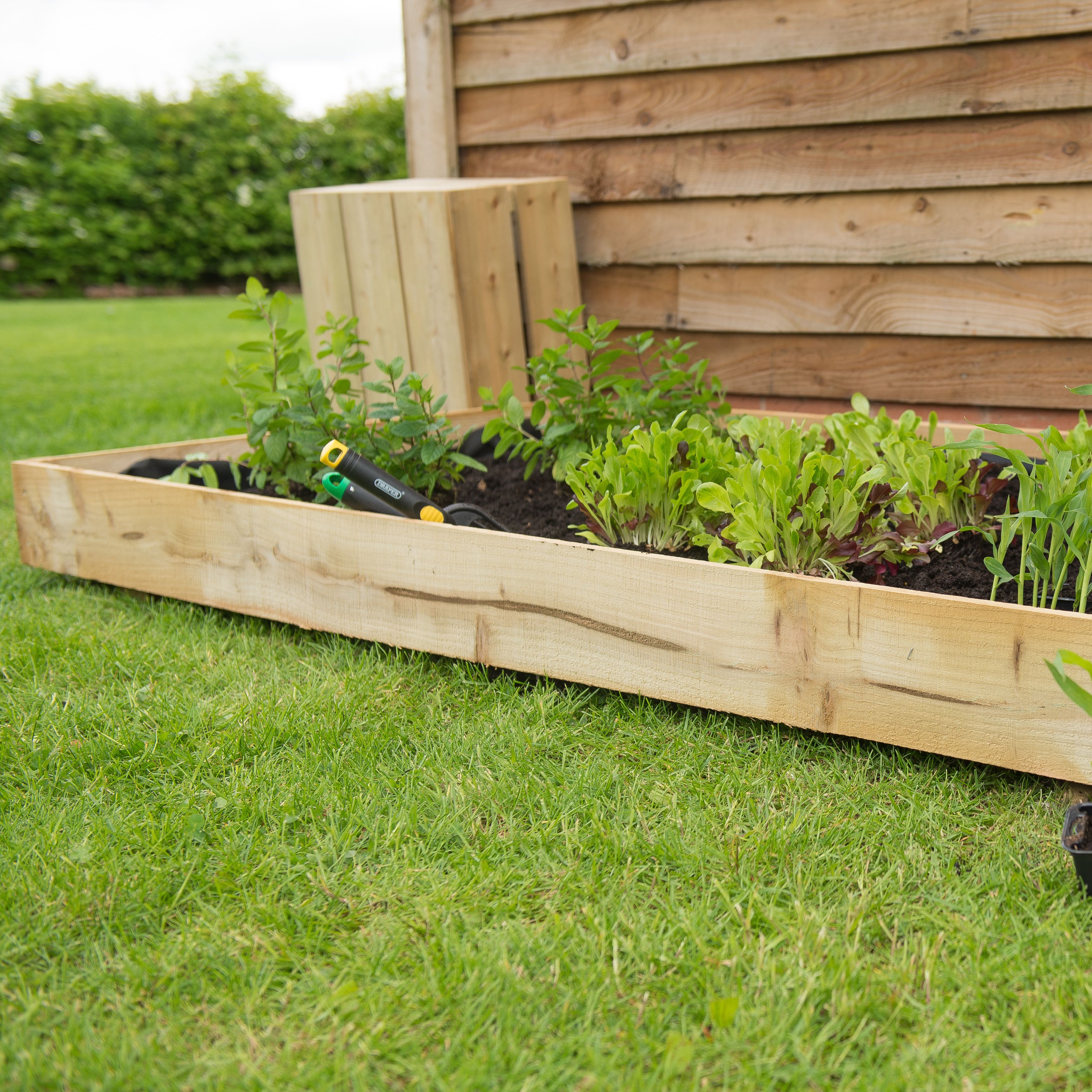 Forest Garden Raised bed kit