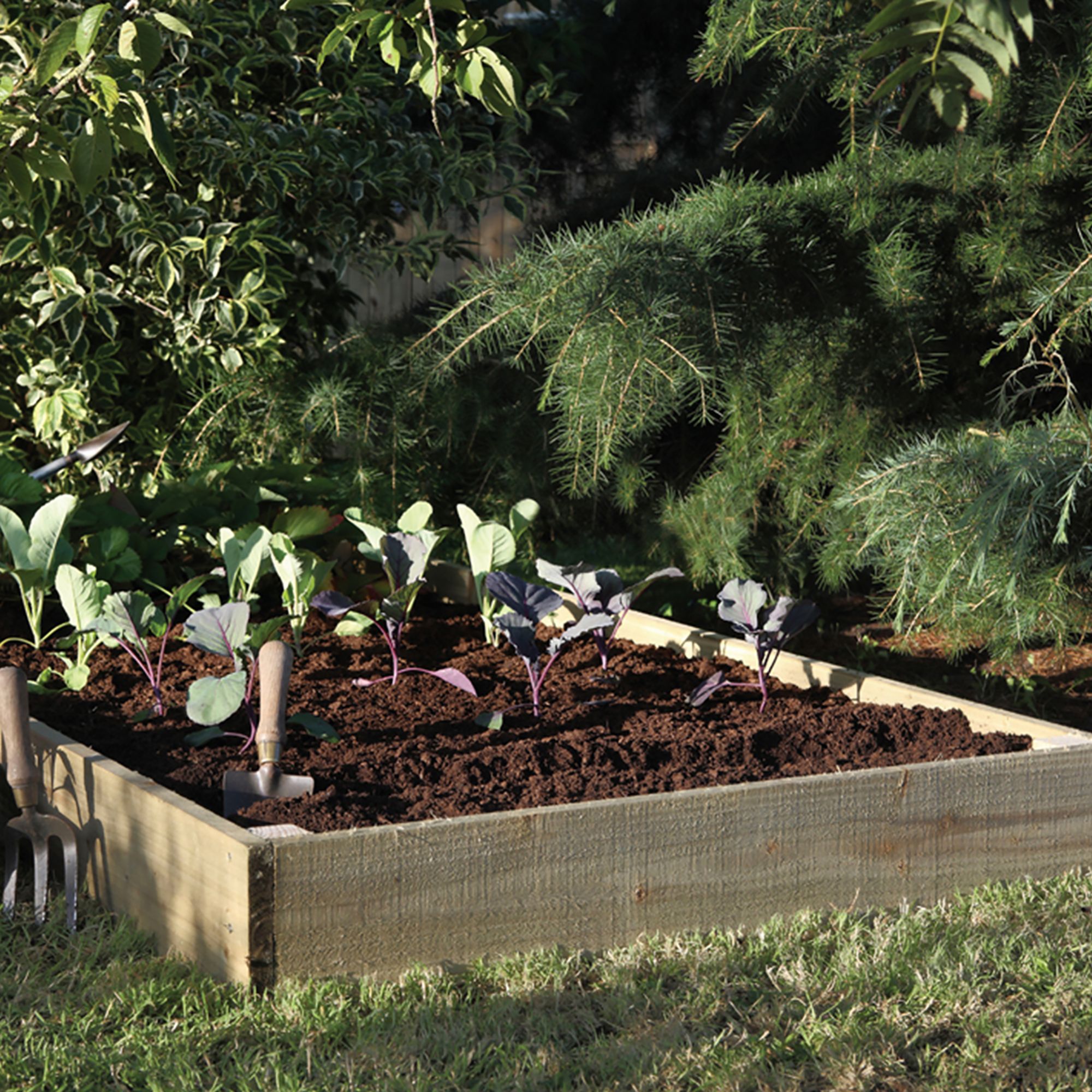 Forest Garden Raised bed kit