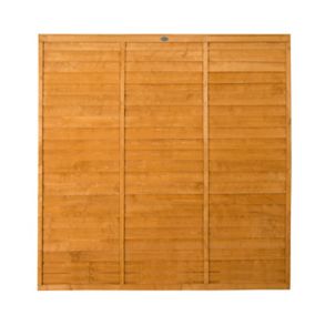 Forest Garden Straight edge Lap Dip treated 6ft Golden Brown Wooden Fence panel (W)1.83m (H)1.83m