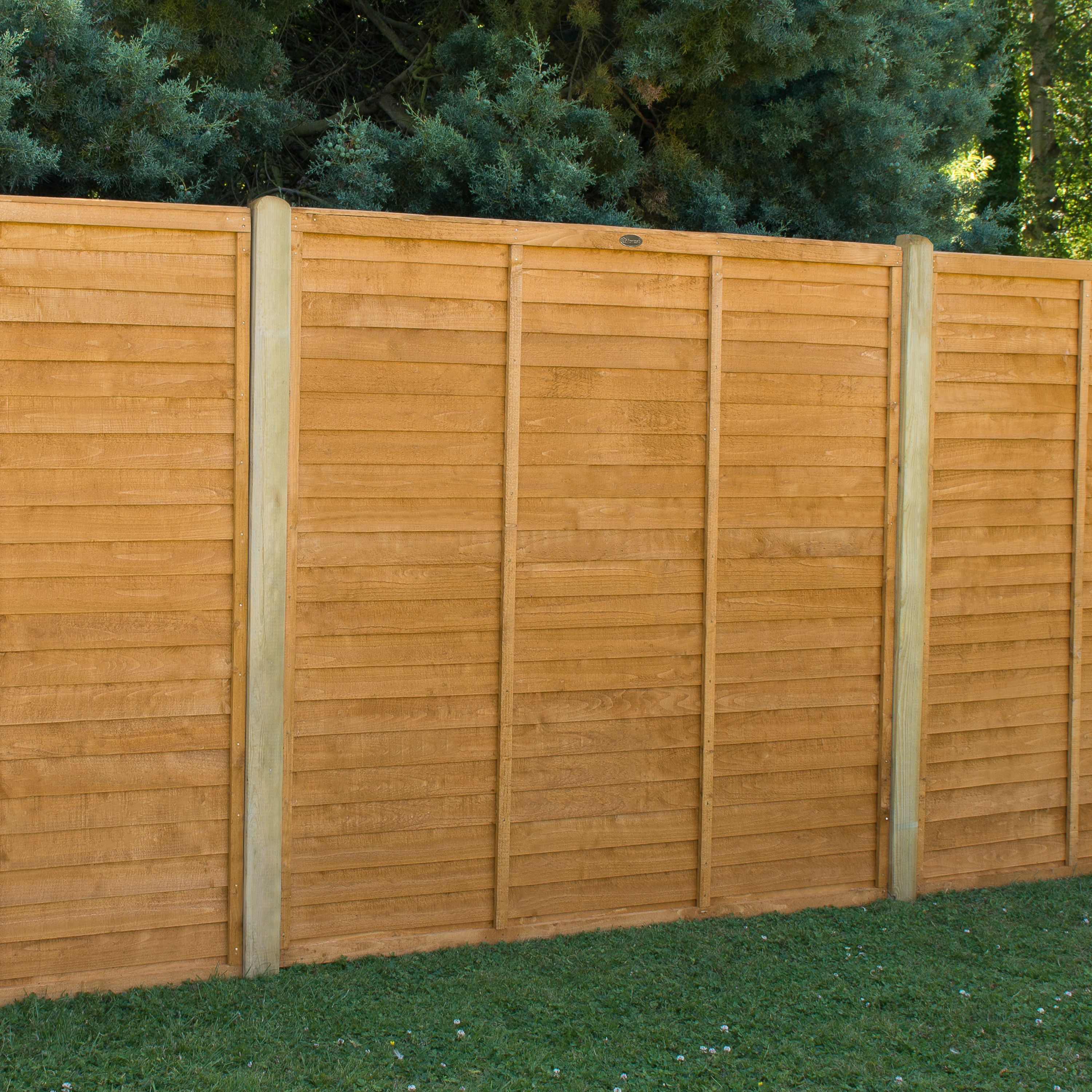 Forest Garden Straight edge Lap Dip treated 6ft Golden Brown Wooden Fence panel (W)1.83m (H)1.83m