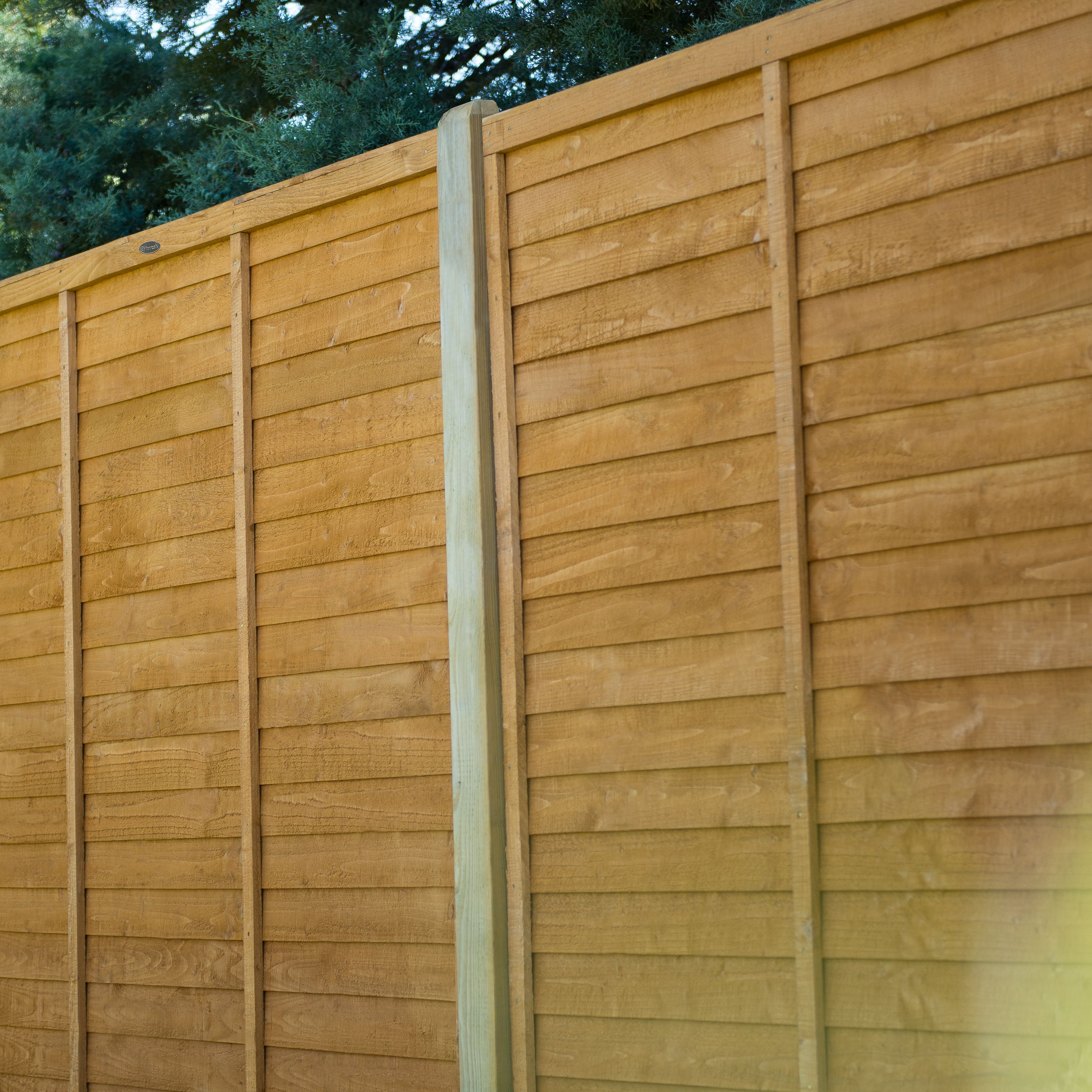 Forest Garden Straight edge Lap Dip treated 6ft Golden Brown Wooden Fence panel (W)1.83m (H)1.83m