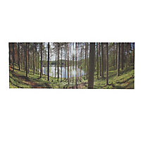 Forest Green Canvas art (H)45cm x (W)120cm