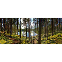Forest reflections Multicolour Canvas art (H)450mm (W)1200mm